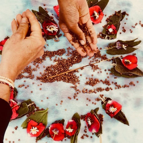 🌺 🦙 ⛰️ 🦅  ✨ Pachamama 🌎 Madre Querida ❤️