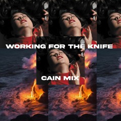 MITSKI - WORKING FOR THE KNIFE [CAIN MIX]
