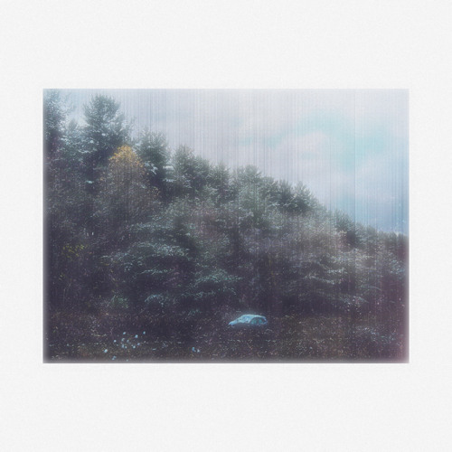 tell me the things you know will hurt me. i want to know and be known.