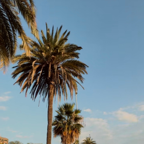 CENTAL CEE x NEMZ HEADLINEs remix by @hunchoboy)