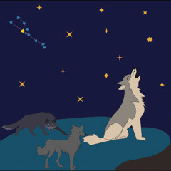 We are the Wolves