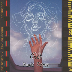 Reminisce -Said The Sky feat. Taylor Acorn (Adt Music Remix)