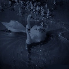 in this place we call home (peril)