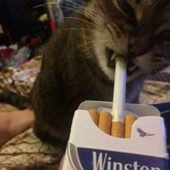 american idol prod. cybergurlz