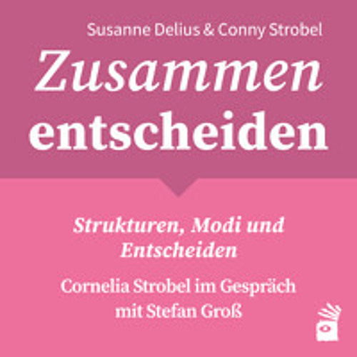 S2 F2 Cornelia Strobel mit Stefan Groß – Strukturen, Modi und Entscheiden
