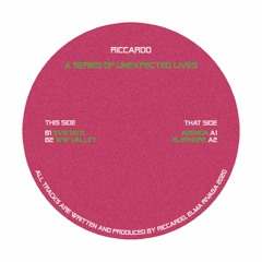 [EMRVG003] Riccardo - A Series of Unexpected Lifes