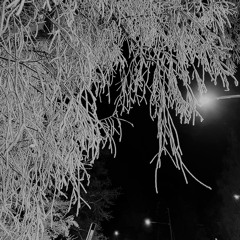 Winter Nights (feat. Codee)