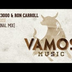 Code3000, Ron Carroll - Paradise