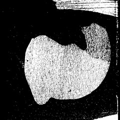 Beach Vicodin - Casual Trip Excerpt