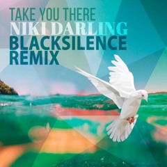 Take You There (BlackSilence Remix)