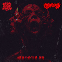 Espectral//Reflexos (feat. Leonardo Binelli & Spectral Despair)