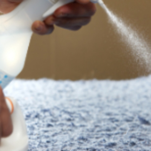 Reasons Why You Should Prioritise Cleaning Your Home