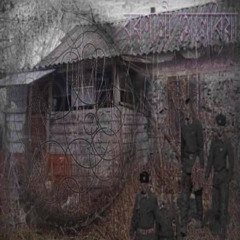 SHINDAO - ВБРЕДУ