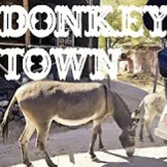 Donkey Town - Soupy Garbage Juice