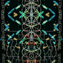 The Lucid Dreaming Adventure