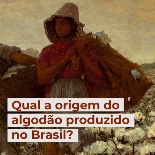 Stream Qual a origem do algodão produzido no Brasil? by Jornal do Agronegócio Paracatu Rural Stream Qual a origem do algodão produzido no Brasil? by Jornal do Agronegócio Paracatu Rural
