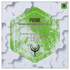 Ruffneck Prime - 00110001 00110100 00110111 00110101