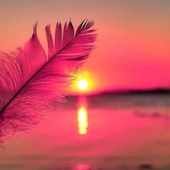 Sunset Dreams - LIVE FROM DUBAI