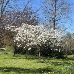 Soup To Nuts w/ Anu 150425