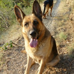 🤍 Hòstia, sí que fot sol aguets dies... 🖤