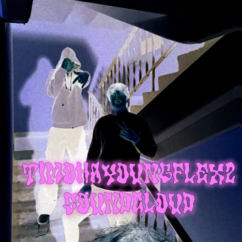 timohayoungflex2 (feat. timofey64)