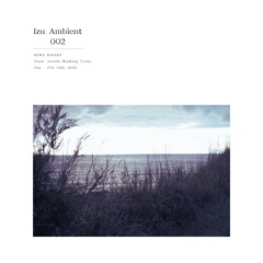 Izu Ambient 002