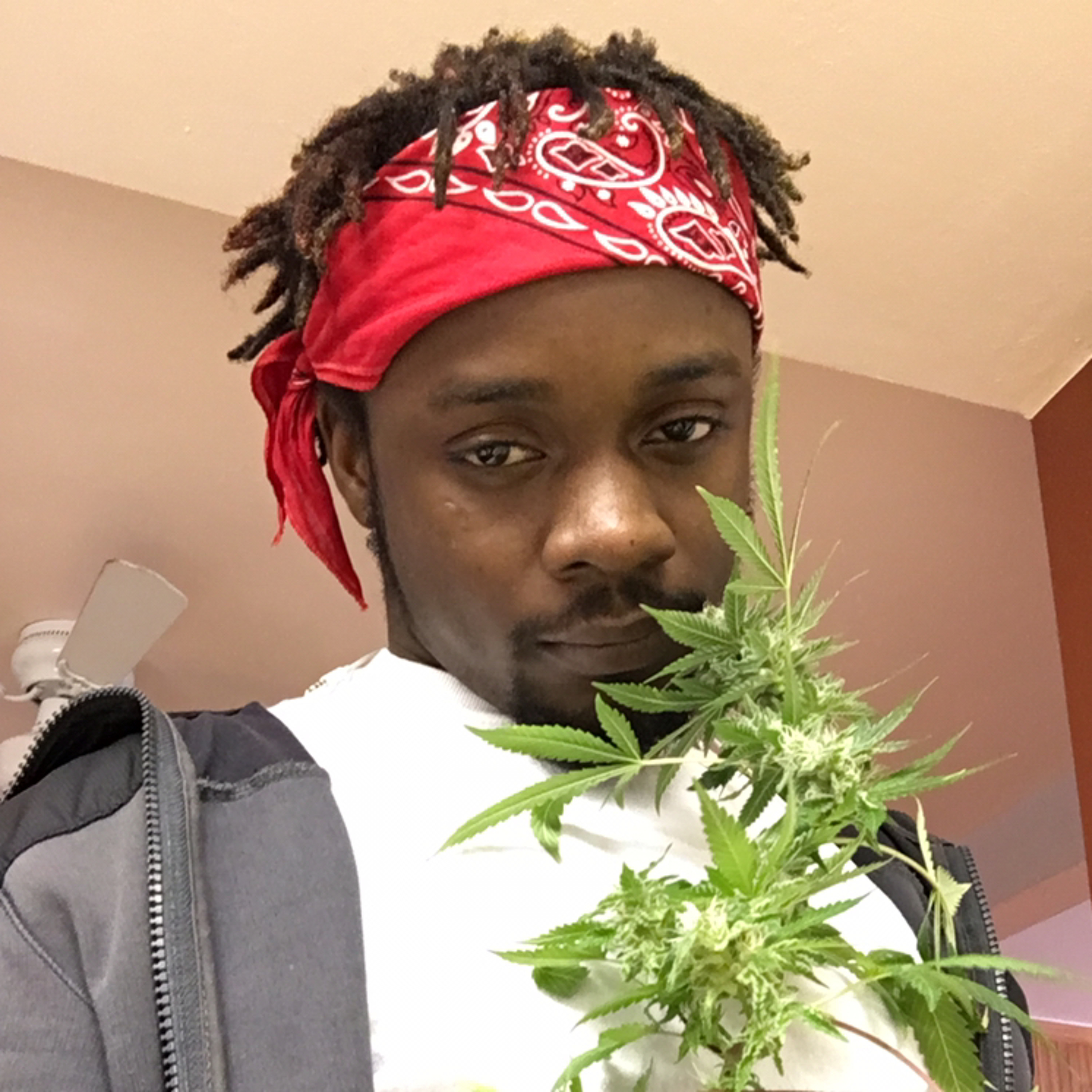 SniffTwIIce