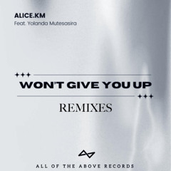 Won't Give You Up (J.Wu Remix)