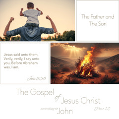 Voice Note for 20241211 - TheGospelofJesusChrist-Part12-John8-TheFatherandTheSon