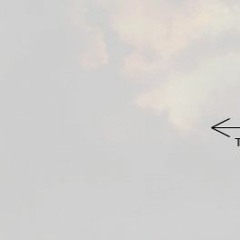 Birthday w/ mechro2k 🥳