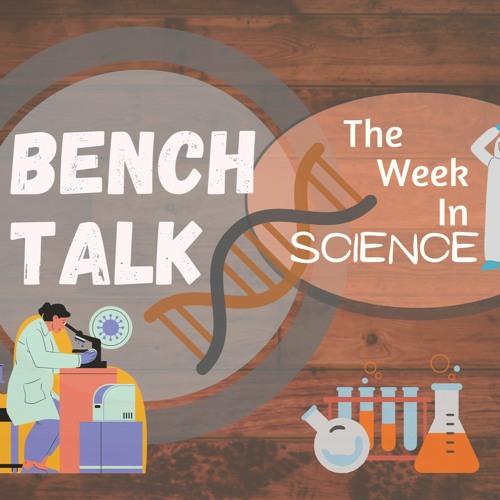 Stream episode Bench Talk | Gun Deaths and Children - The Night Sky in ...