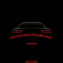 Could You Give Me Some Directions?