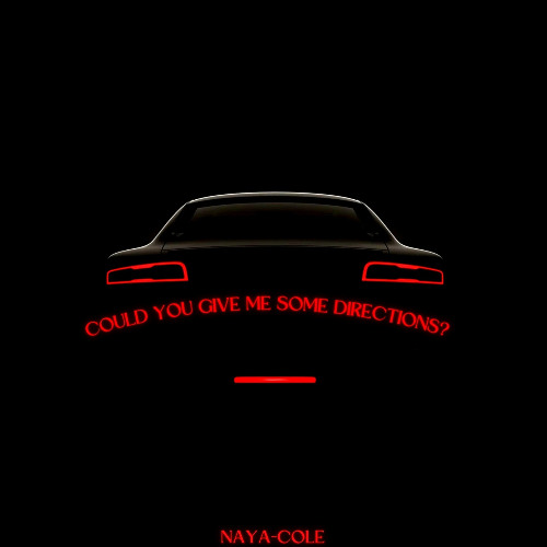 Could You Give Me Some Directions?