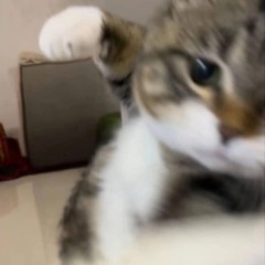 Nonstop TikTok Remix 2025 Cô Gái À Em Đừng Khóc  Mưa Của Trời Mây