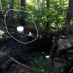 Pearl Gloves @DJHAYLZ