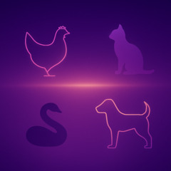 Vidani - Folded Light