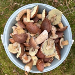 Autumnal Blessing - A Spiritual Downtempo Journey