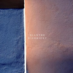 Indefinite Pitch PREMIERES. Dianthe - Ceres [Diffuse Reality]