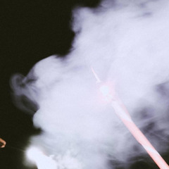 Animal (Mike Snow Cover)