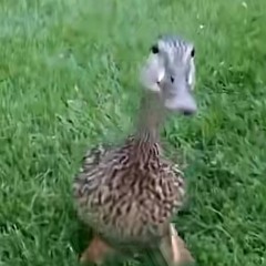 The end is coming soon i don’t know when to tell you but everyone will know this world makes me sick