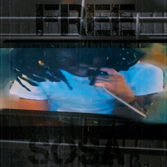 FREESOSA FT WHAM16x