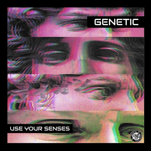 Use Your Senses