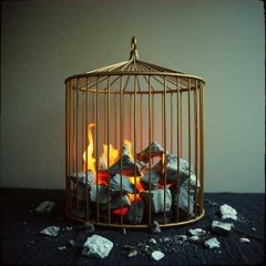 No Faith in Fire