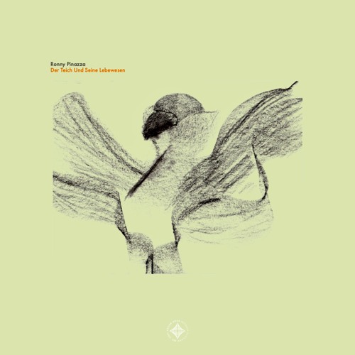 Indefinite Pitch PREMIERES. Ronny Pinazza - Teichfisch (Alex Tirelli Remix) [Cellar Door]