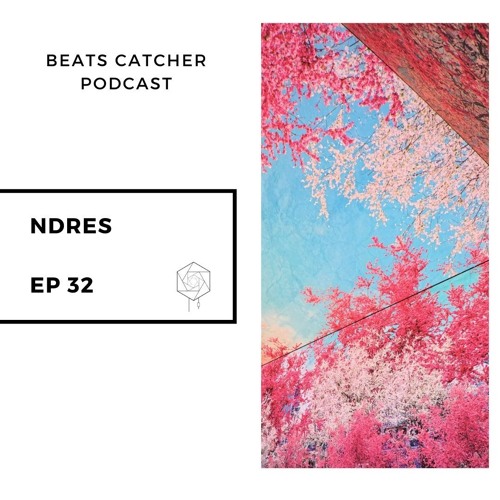 Beats Catcher Podcast - EP 32 Ndres - House Vinyl Set