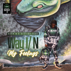 CA$H-N x Destiny Faux - Way I/N My Feelings