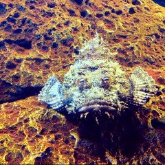 Love Light Ft. Matt Carriker