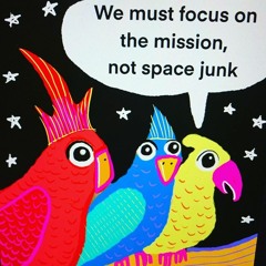 Spacejunk