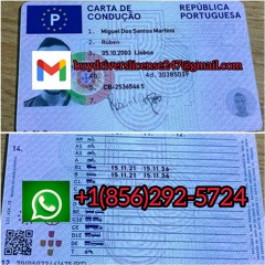 Compre carta de condução portuguesa registada, Carteira de motorista barata de Portugal,