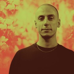 Palms Trax - ID